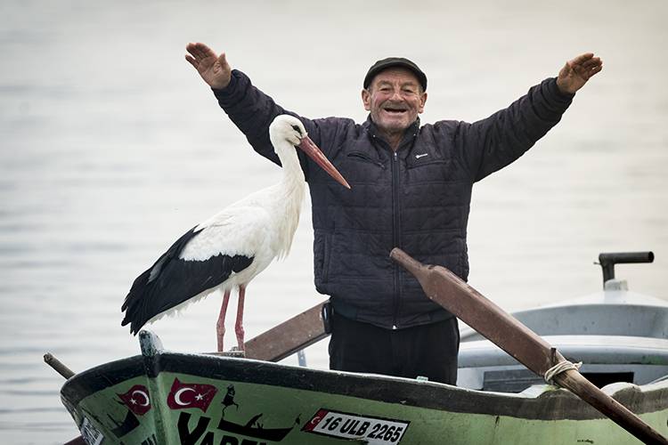 Yaren Leylek erkenden uçtu! Adem Amca gözleri dolu dolu uğurladı 2